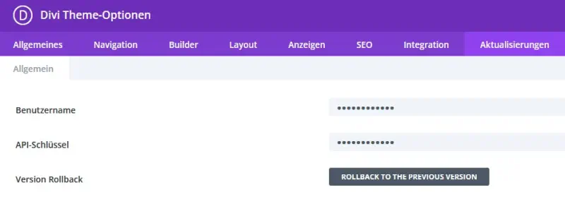 Divi richtig updaten