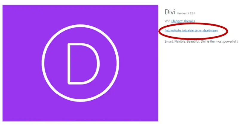 Divi richtig updaten